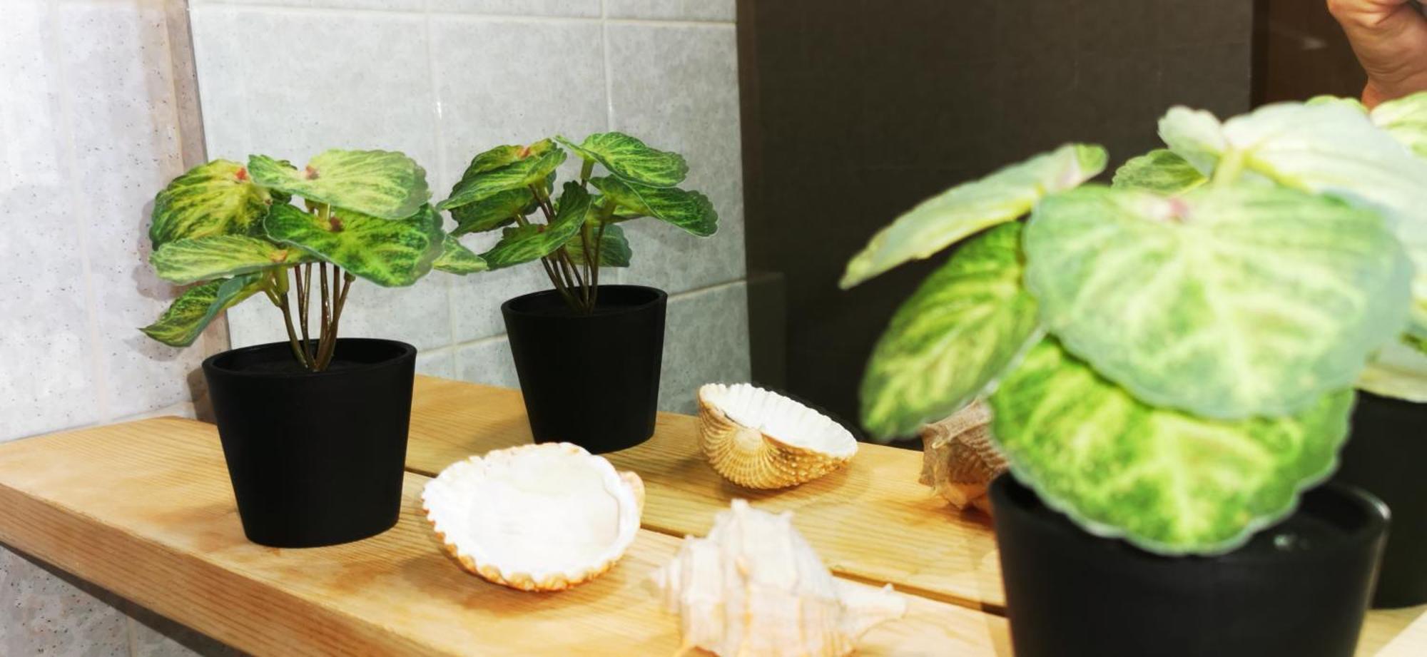 Apartments Ritosa Izola Ngoại thất bức ảnh